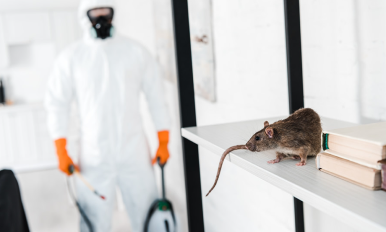 Stay Ahead of the Infestation: Why Proactive Pest Control Matters
