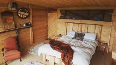 Shed Into a Bedroom