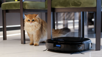 Unexpected Everyday Uses for a Pet Hair Lint Remover