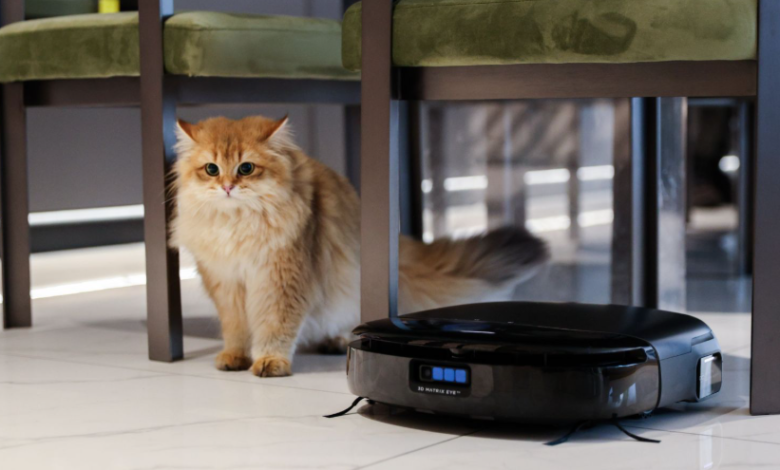 Unexpected Everyday Uses for a Pet Hair Lint Remover