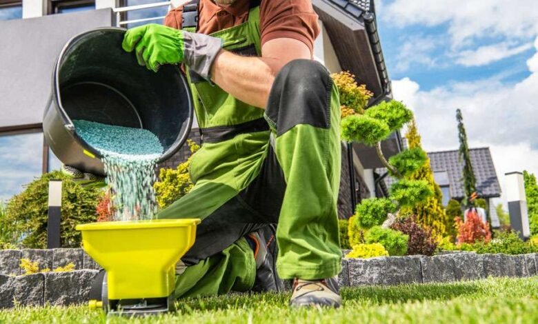 Lawn with Fertilization