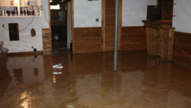 The Impact of Basement Waterproofing on a Healthier Home Environment