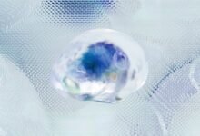 apex summit neural beam