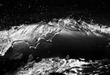 fusion momentum digital crest 3 669 860 592