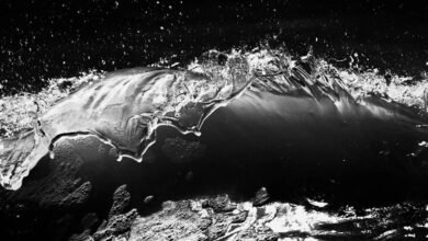 fusion momentum digital crest 3 669 860 592