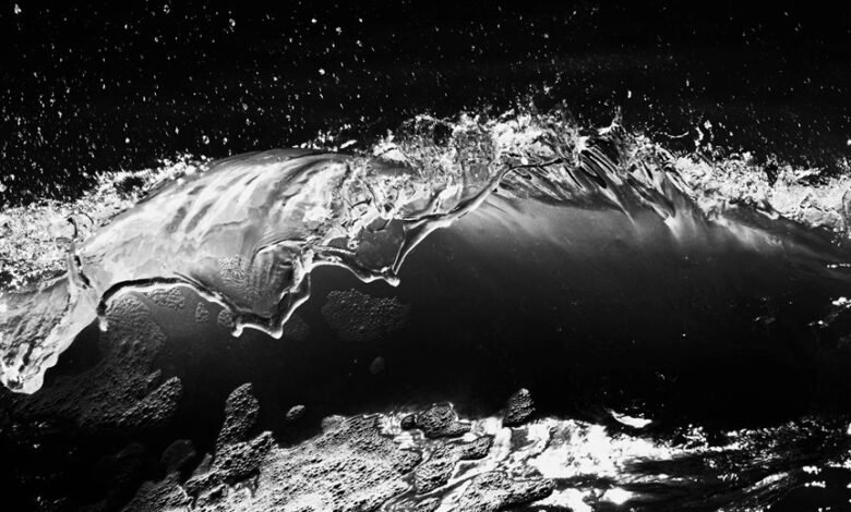 fusion momentum digital crest 3 669 860 592