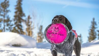 hyper flow 711753888 market node