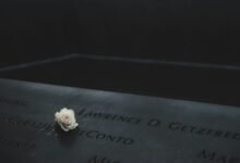 puwipghooz8 9 edge overview