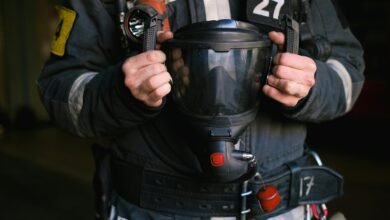 reliable public lookup safety insight