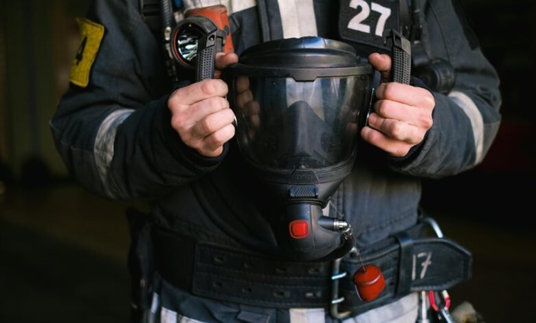 reliable public lookup safety insight