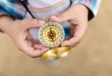 structured mapping aligns growth strategies